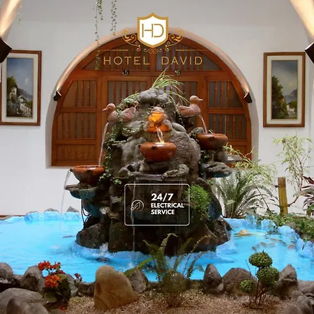 Hotel David